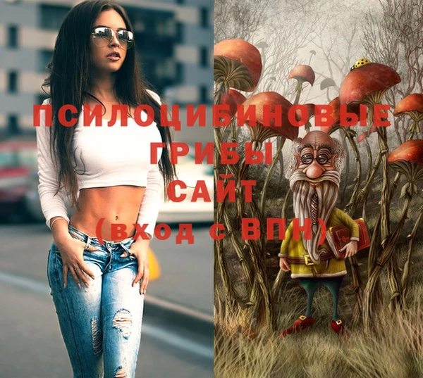 твердый Балахна
